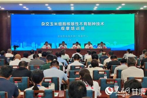 雜交玉米細胞核雄性不育制種技術(shù)觀摩培訓(xùn)會在甘肅張掖成功舉辦，助力技術(shù)推廣與服務(wù)提升