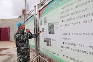 科技賦能，服務引領 技術推廣在脫貧攻堅與農民增收中的核心作用